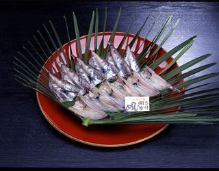 目光鱼