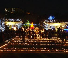 冯提莫收入多少_去日本打工月收入多少