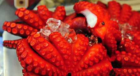 海鲜大餐_海鲜干货_海鲜用品(3)