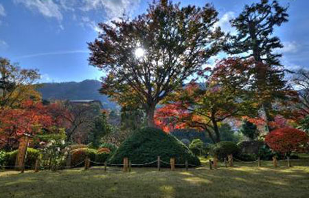 温泉之旅 吉池旅馆-日本旅游_日本酒店_日本旅