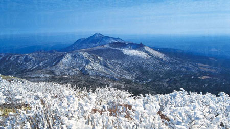 在日中国留学生首创 利用微博宣传鹿儿岛旅游