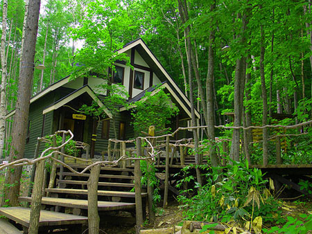 《温柔时刻》中的咖啡屋 富良野森林中的时钟