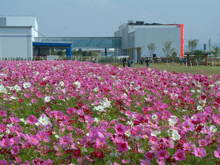 虾野市绿色公园 带你见证可口可乐生产过程-九