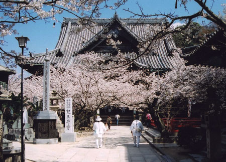 和歌山市-近畿地方_大阪府_京都府_奈良县_兵