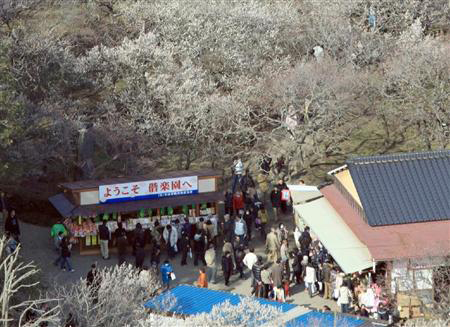 日本47都道府县魅力大比拼 茨城连续3年敬陪末