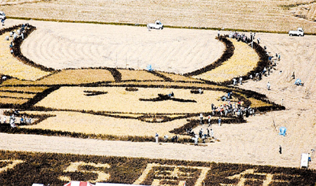 日本彦根市制作彦根猫稻田艺术 庆祝市建立7