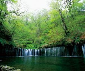 长野县旅游推荐行程之冬季篇(一)-中部地区_静