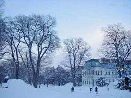 北海道旅游业受日元升值影响-日本旅游_日本酒