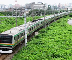 至成田、羽田机场的巴士交通信息-关东地区_东