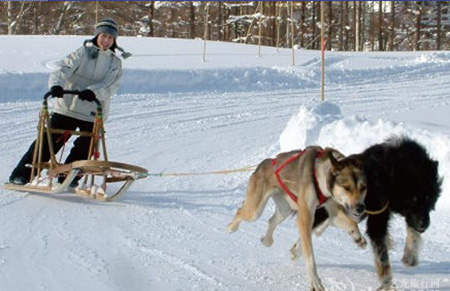 北海道滑雪场雪国世界-日本旅游_日本酒店_