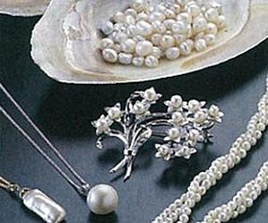 【大津特产】近江茶-近畿地方_大阪府_京都府