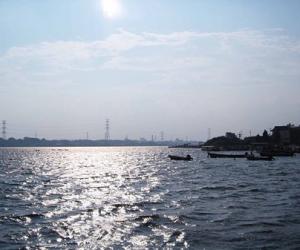 柏市-关东地区_东京都_千叶县_埼玉县_神奈川