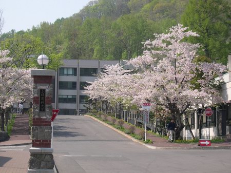 北海道丨小樽商科大学饮酒事件8人退学50人留