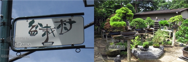 大宫盆栽村