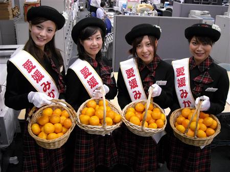 爱媛蜜橘上市!明天上午银座免费发放!-日本新闻