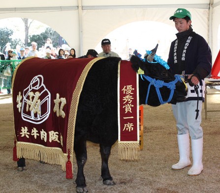 松阪牛最高奖 2200万日元天价成交-日本新闻_