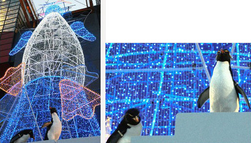 大阪水族馆 企鹅亲自点亮灯塔 - 旅游指南 - 欲望