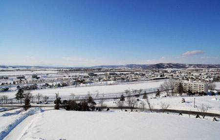 走在街上,一席新雪,更衬出建筑色调的多样来.