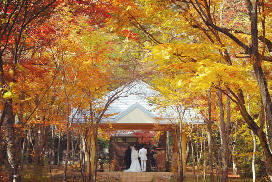 在轻井泽遇见秋天的童话 - 购物经验 - 日本旅游