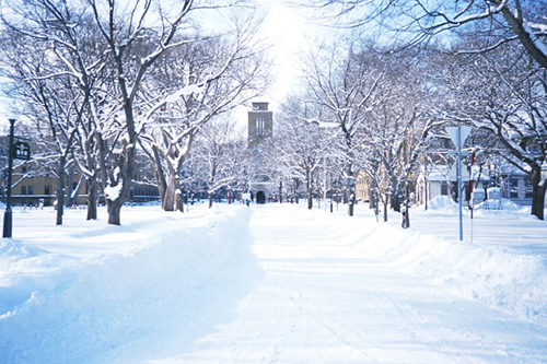 日本毕业生对大学满意度调查 北大第一东大十