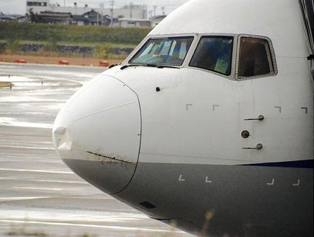 全日空波音客机降落富山机场之际遭雷劈-日本
