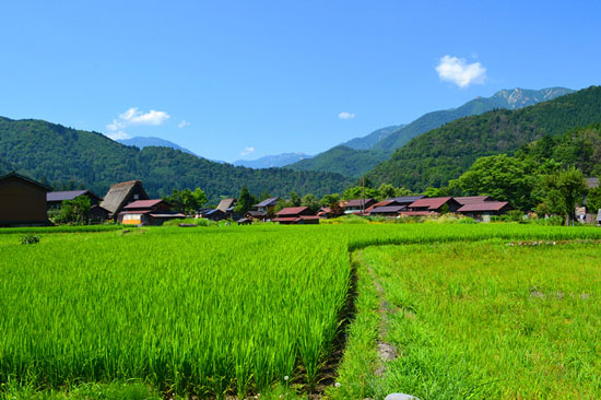 世外桃源般的地方--白川乡合掌村-日本旅游_日