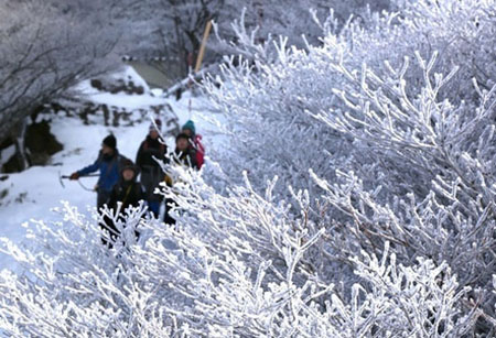 日本三重滋贺爱知县各地遇寒流-日本旅游_日本