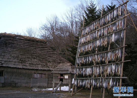 分外妖之北海道的冬天-日本旅游_日本酒店_日