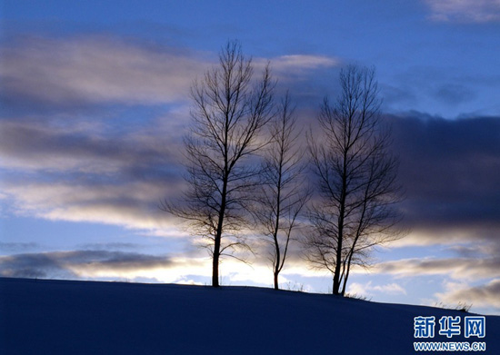 分外妖之北海道的冬天-日本旅游_日本酒店_日