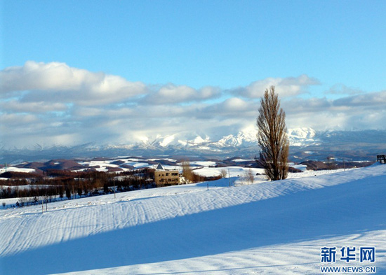 分外妖之北海道的冬天-日本旅游_日本酒店_日