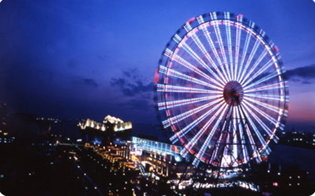 大阪水族馆里的奇幻世界-日本旅游_日本酒店_