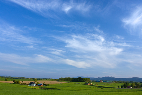 一生中必去的地方之北海道篇-日本旅游_日本酒