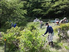 大阪一对母子饿死家中 陈尸3月才被发现-日本