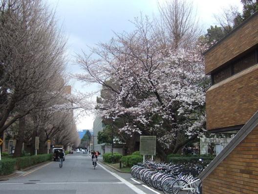 2019早稻田大学世界排行榜_日本早稻田大学