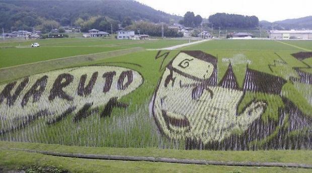 青森县田舍馆村稻田画车站开业
