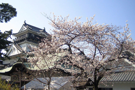 爱知县人气景点TOP10-日本旅游_日本酒店_日