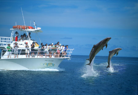暑期出游大作战 今夏最想去哪里-日本旅游_日