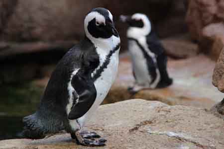 一个人的京都--闲逛水族馆-近畿地方_大阪府_