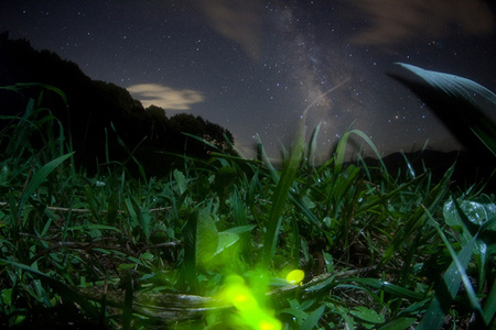 摄影作品欣赏:宫坂雅博镜头下的星空(组图)-日