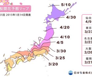 日本2015年樱花花期或比往年略提前-日本文化