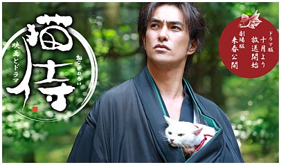 日本调查:喜欢猫的男生给女生留下的印象-日本