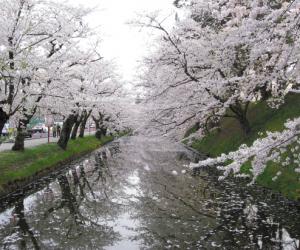 变态日本:佐藤雅信的手淫世界冠军-日本新闻