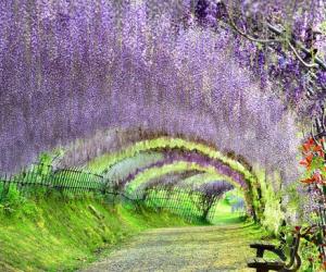 日本北海道 一整年都值得你去游玩的地方-日本