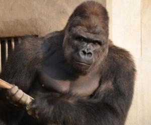 经合组织调查:日本教育支出占GDP比重排名垫