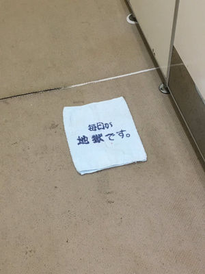 在日本厕所遭遇的奇葩光景