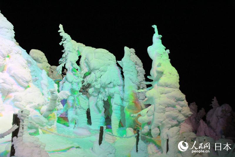大自然创造的冰雪艺术——日本藏王“树冰”