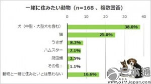日本独居女性民意调查 比起养猫更喜欢狗