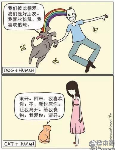 日本独居女性民意调查 比起养猫更喜欢狗