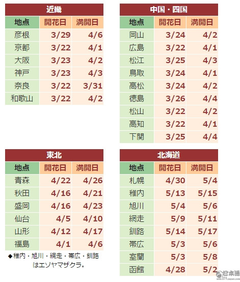 日本公布最新樱花花期预测 今年樱花或早开-日