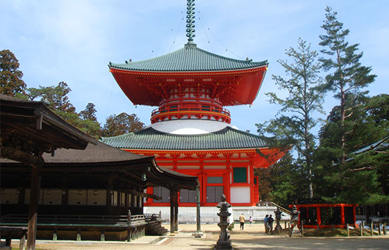 伊势神宫、严岛神社…盘点日本最值得去的神社寺院